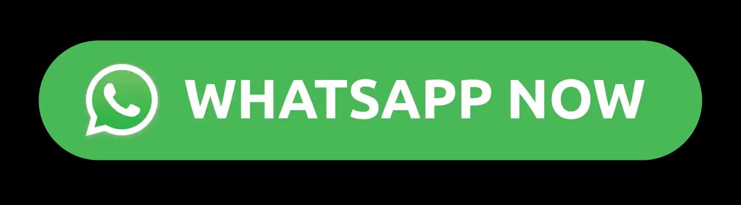 Whatsapp Now